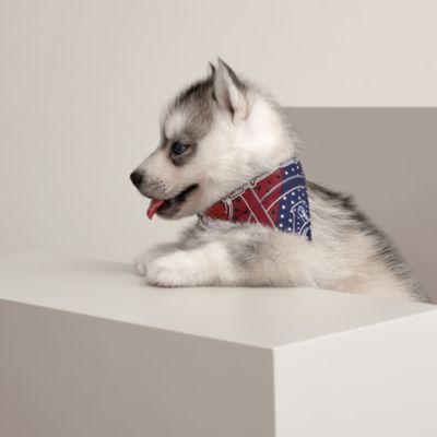 800750E 01_worn_1?size=3000,